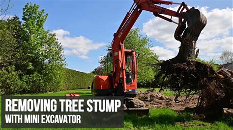 mini excavator pushing down trees|mini tree removal.